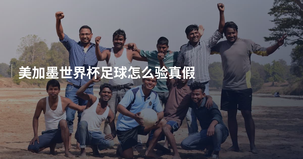 美加墨世界杯足球怎么验真假