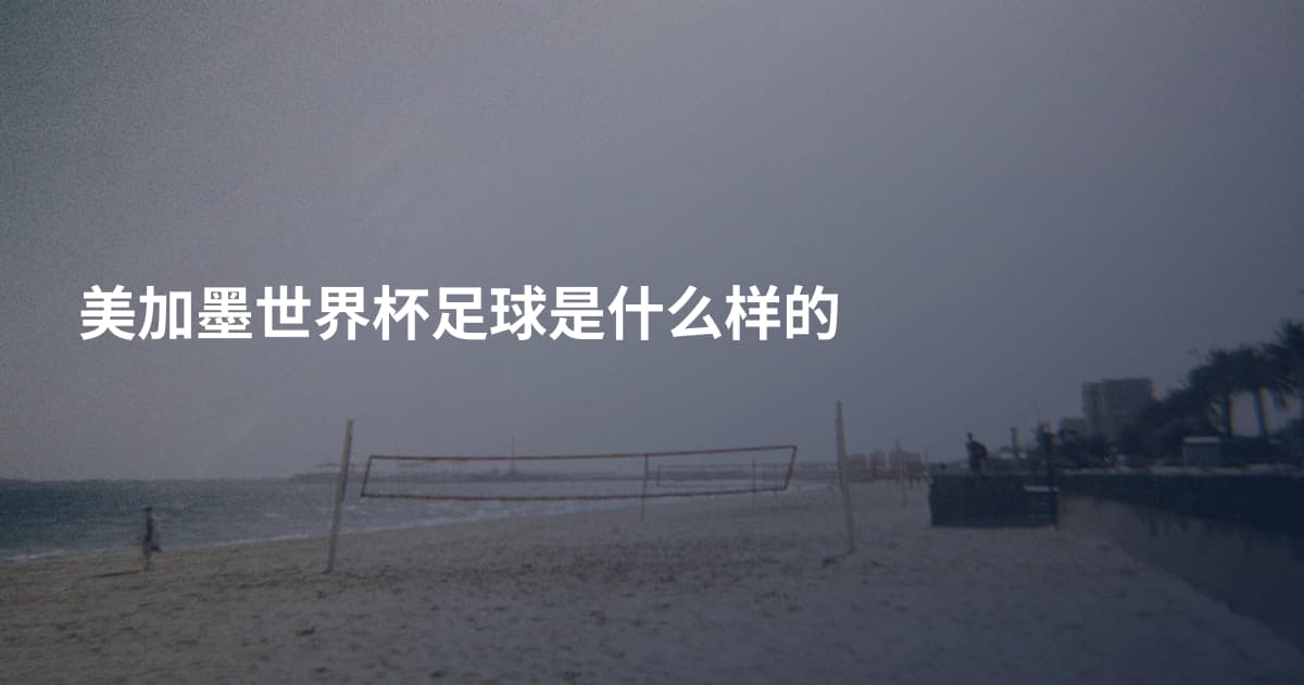 美加墨世界杯足球是什么样的