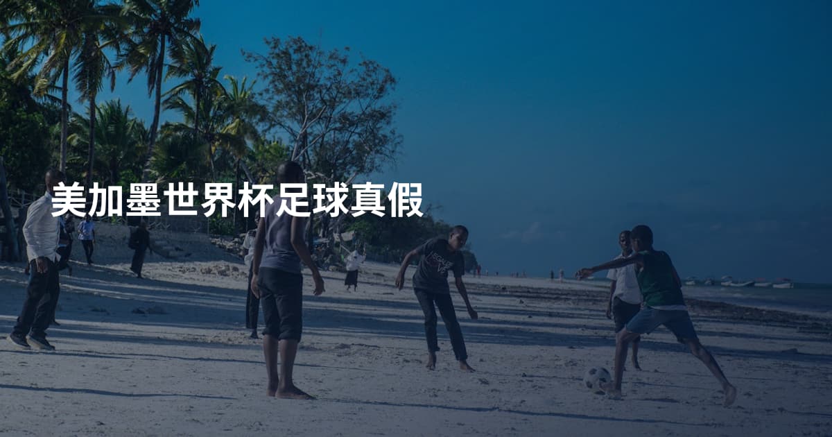 美加墨世界杯足球真假