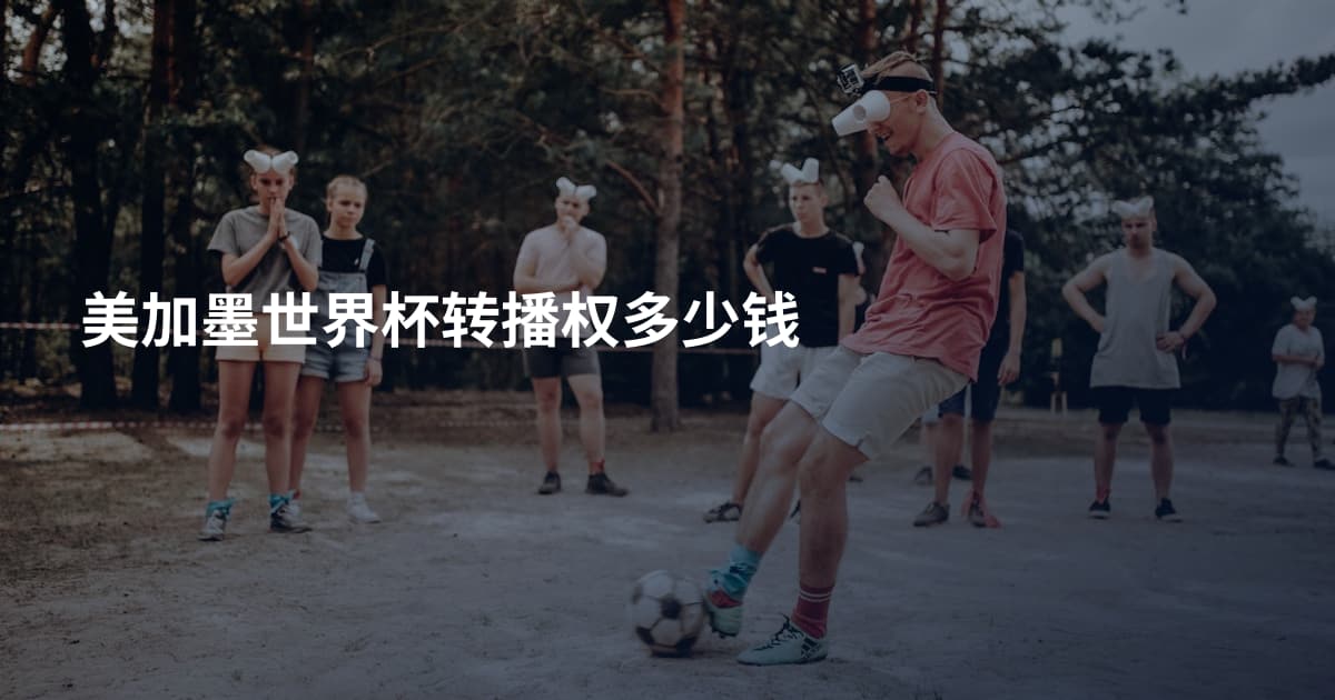 美加墨世界杯转播权多少钱