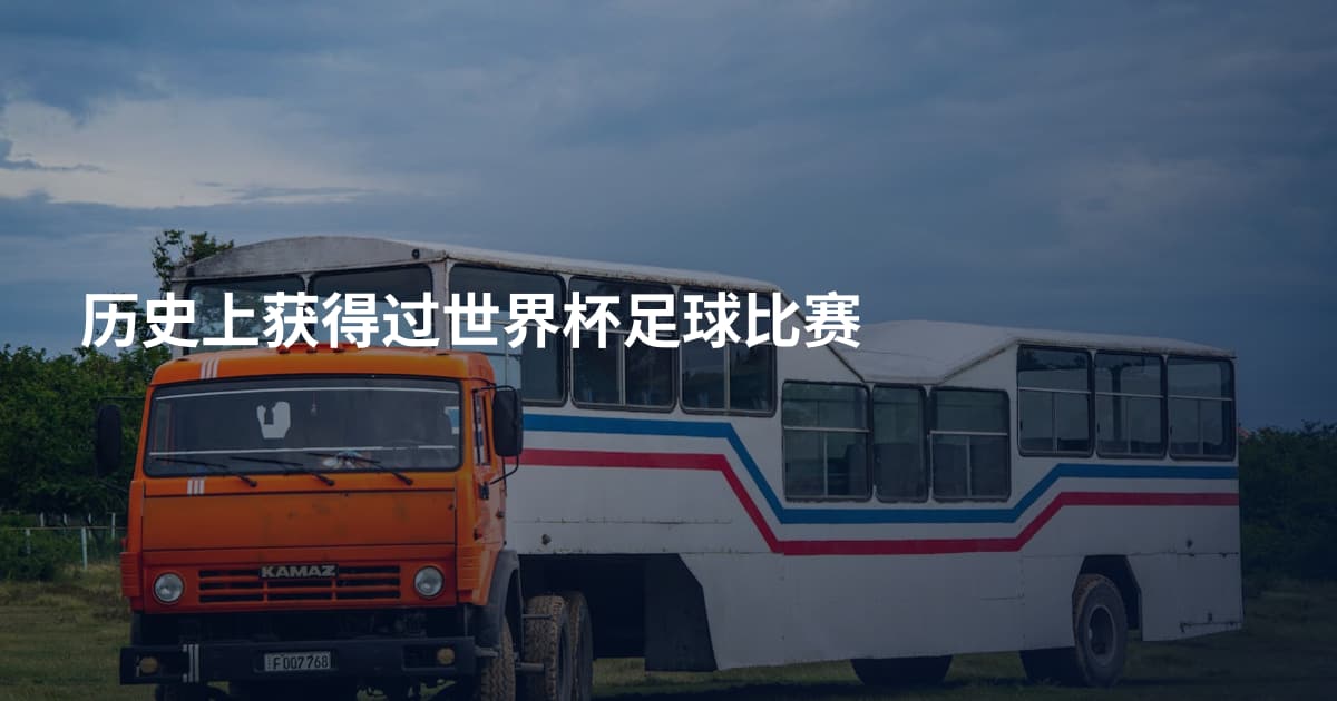历史上获得过世界杯足球比赛
