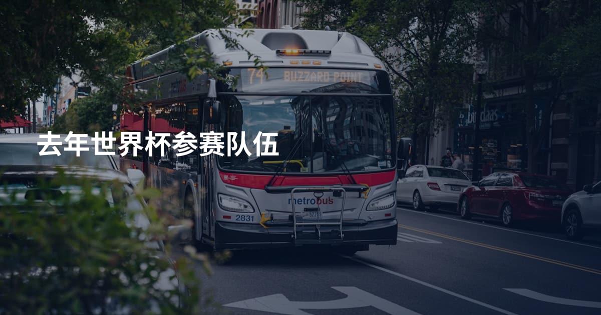 去年世界杯参赛队伍