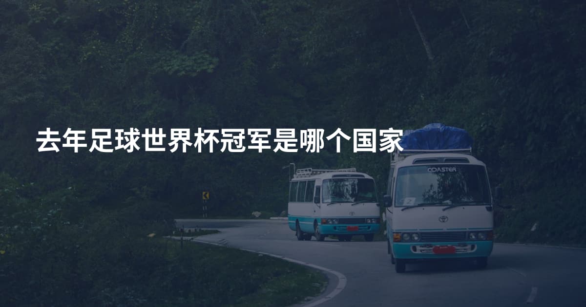 去年足球世界杯冠军是哪个国家