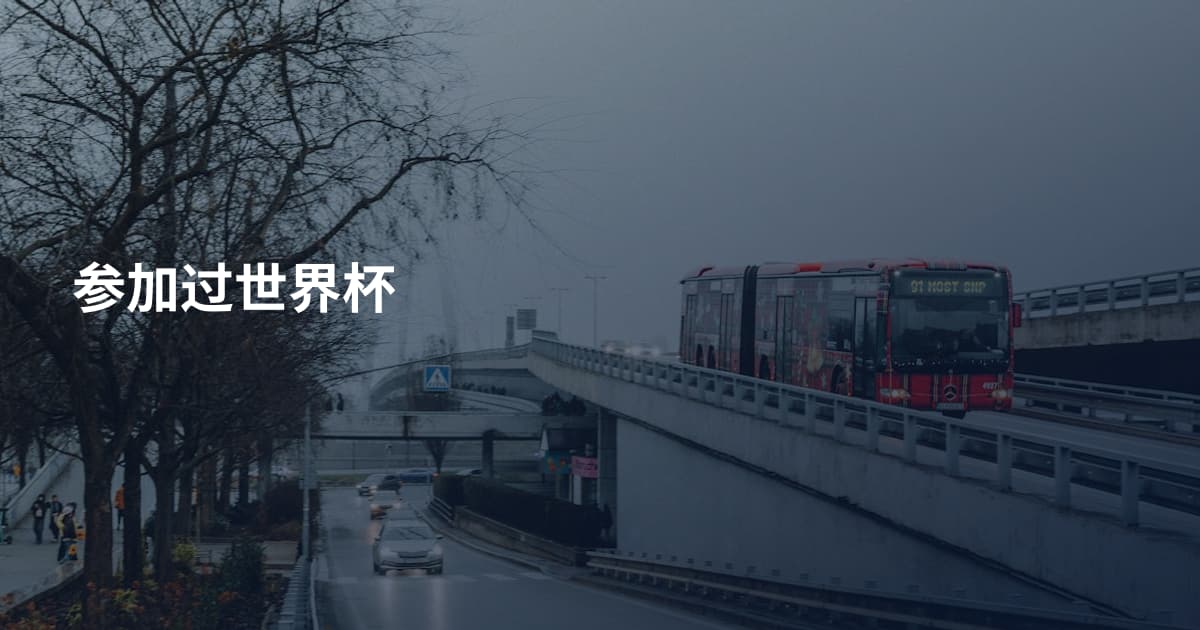 参加过世界杯