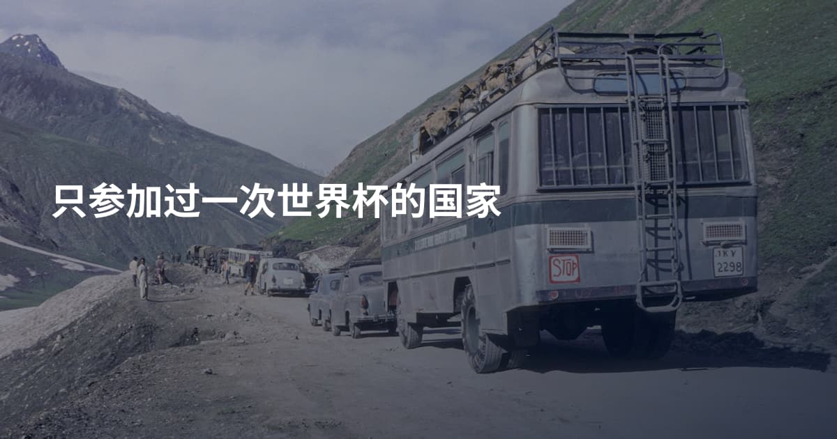 只参加过一次世界杯的国家
