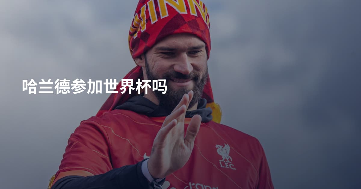 哈兰德参加世界杯吗
