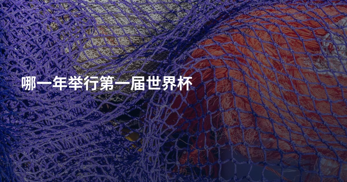 哪一年举行第一届世界杯