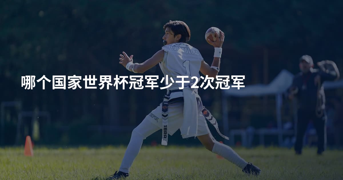 哪个国家世界杯冠军少于2次冠军