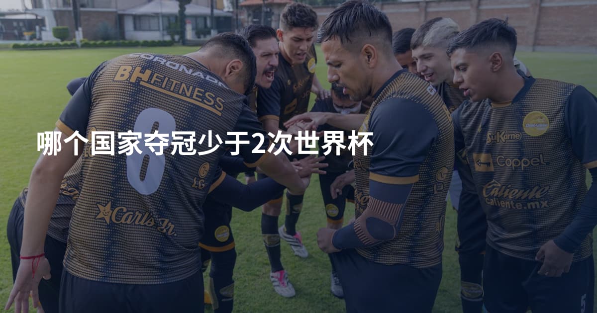 哪个国家夺冠少于2次世界杯
