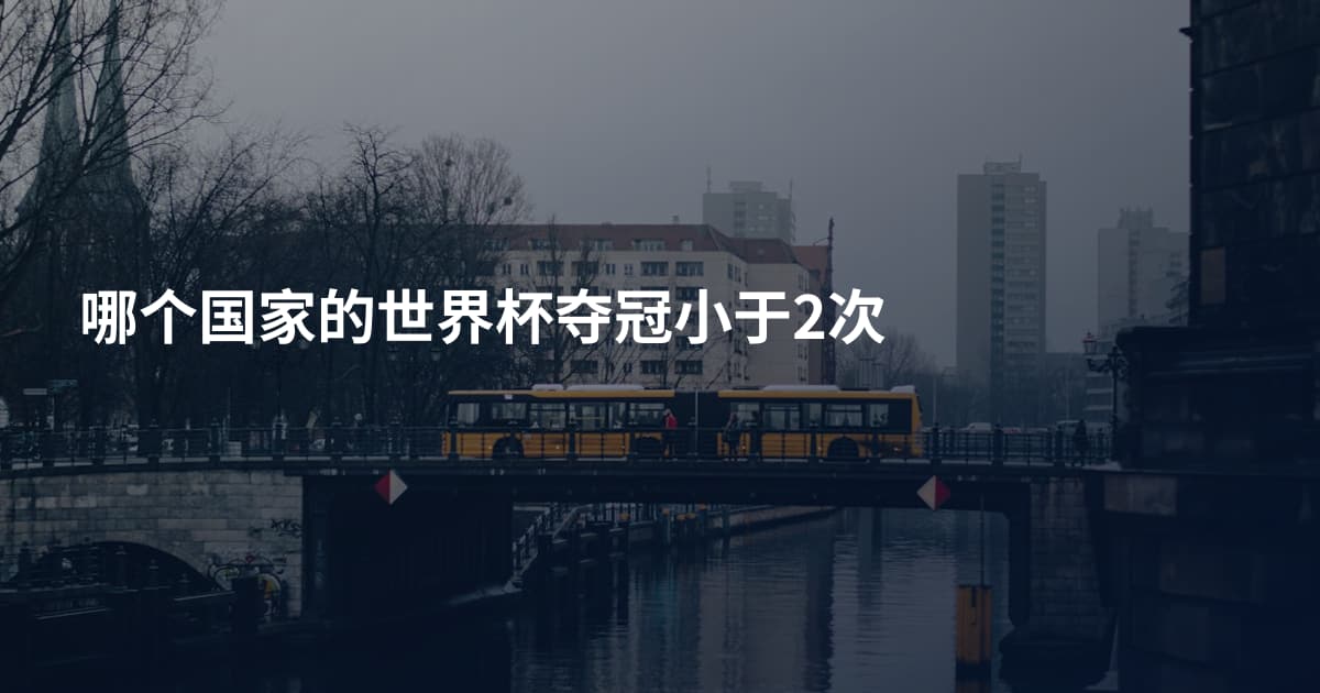 哪个国家的世界杯夺冠小于2次