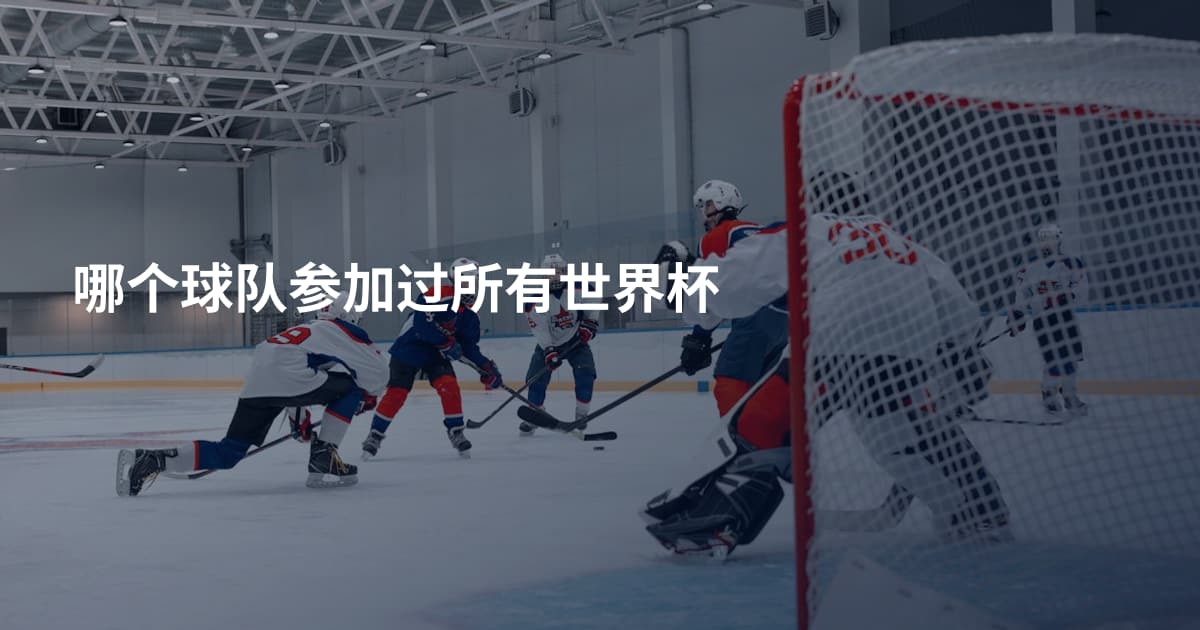 哪个球队参加过所有世界杯