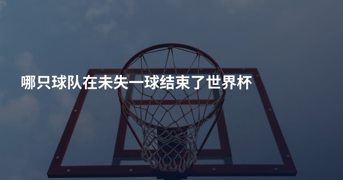 哪只球队在未失一球结束了世界杯