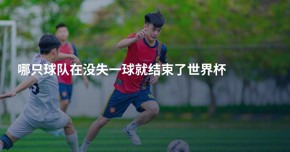 哪只球队在没失一球就结束了世界杯