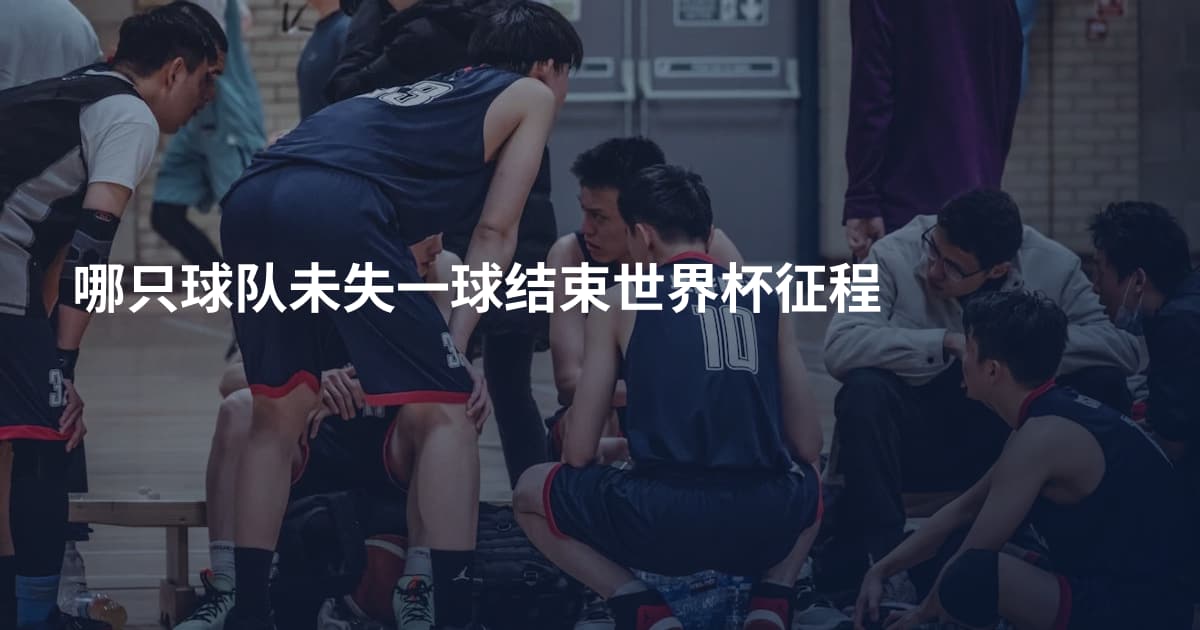 哪只球队未失一球结束世界杯征程