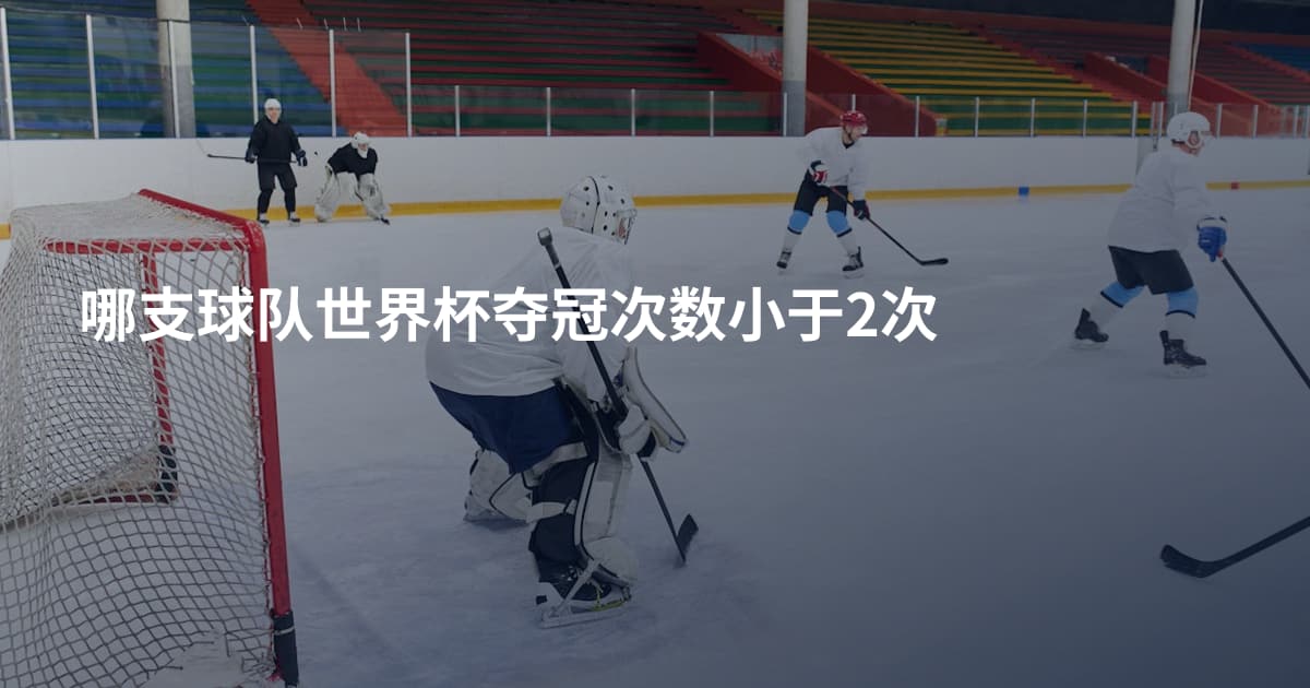 哪支球队世界杯夺冠次数小于2次