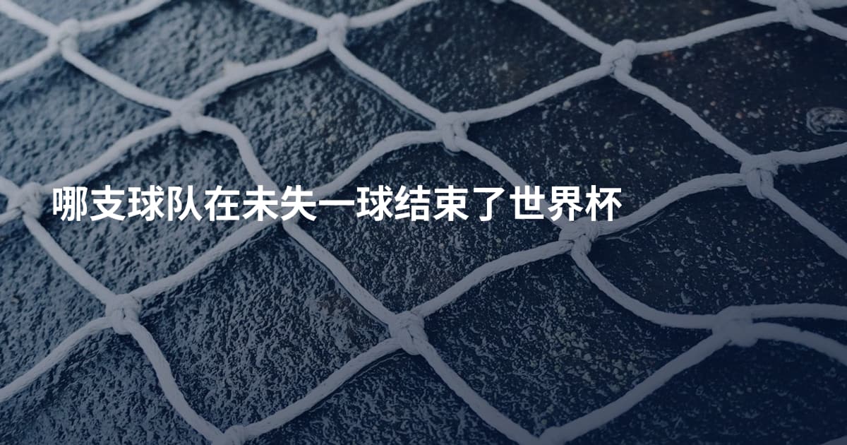 哪支球队在未失一球结束了世界杯