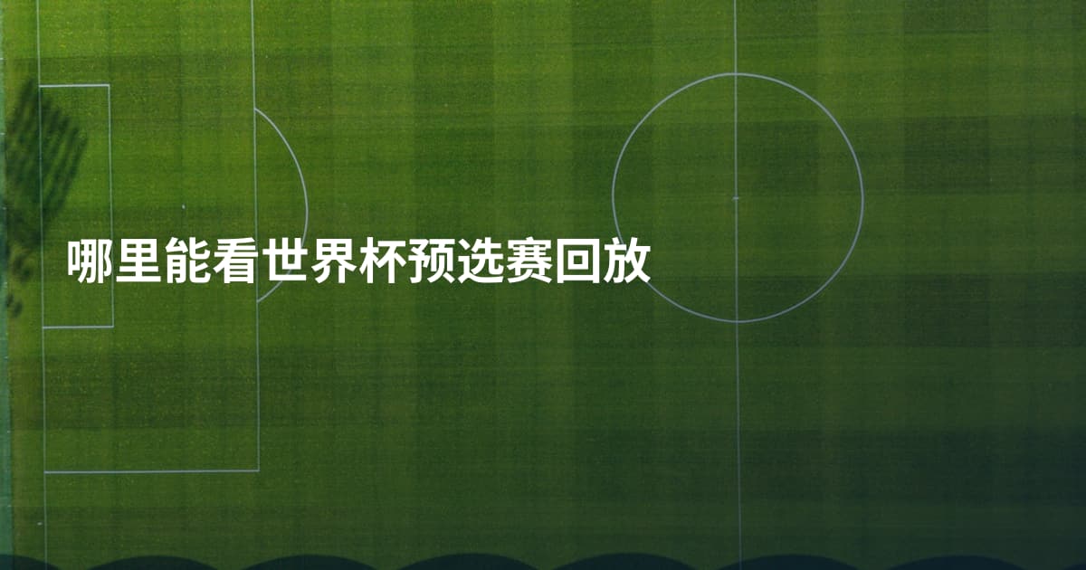 哪里能看世界杯预选赛回放