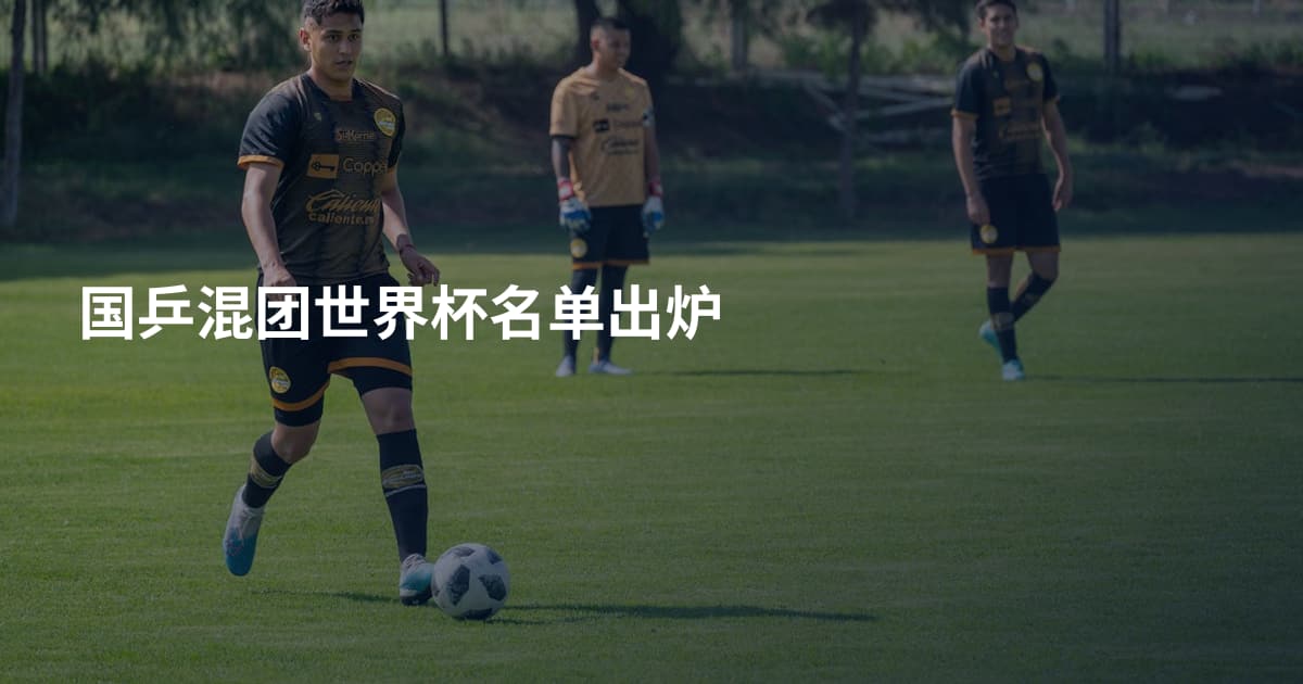 国乒混团世界杯名单出炉