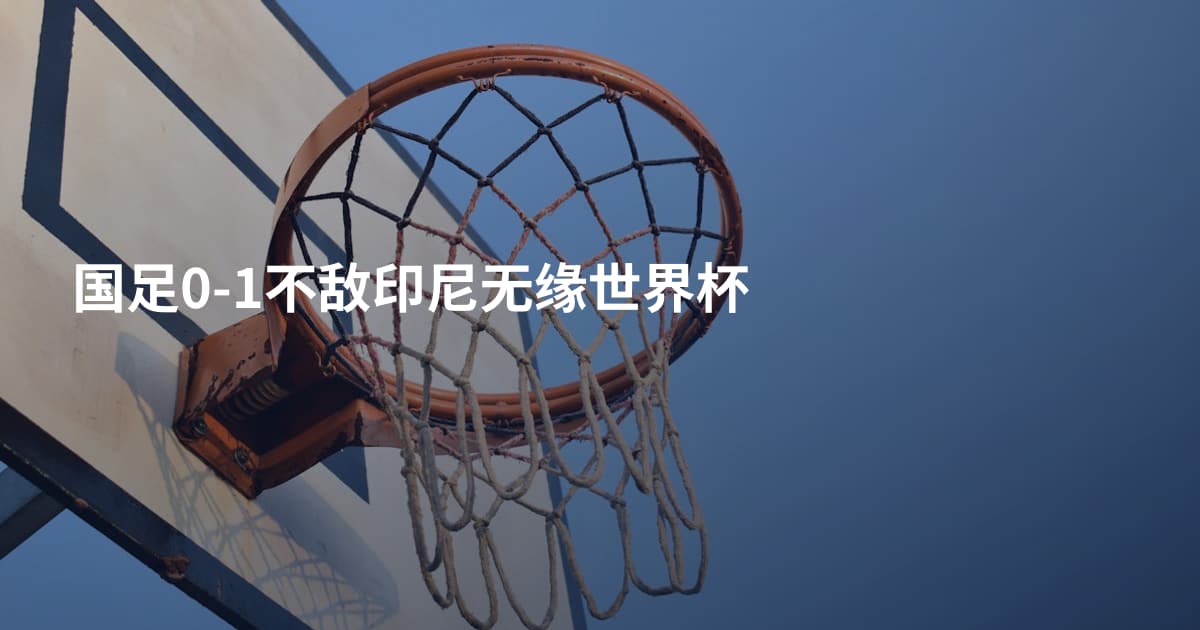国足0-1不敌印尼无缘世界杯