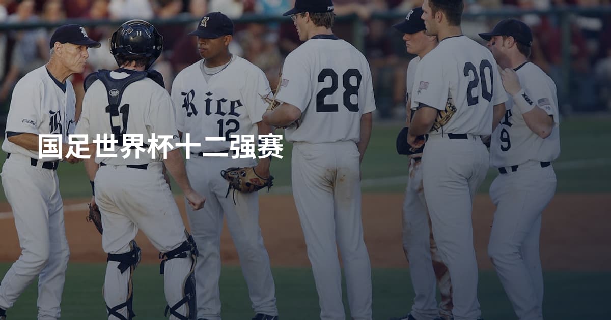 国足世界杯十二强赛