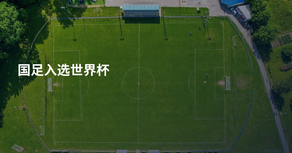 国足入选世界杯