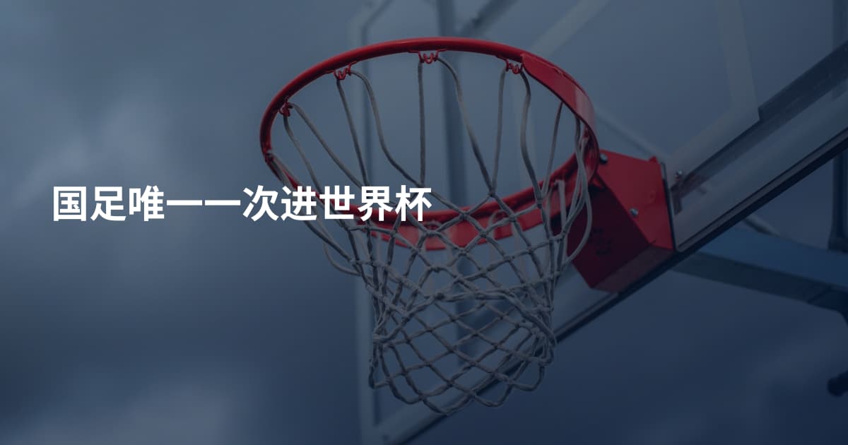国足唯一一次进世界杯
