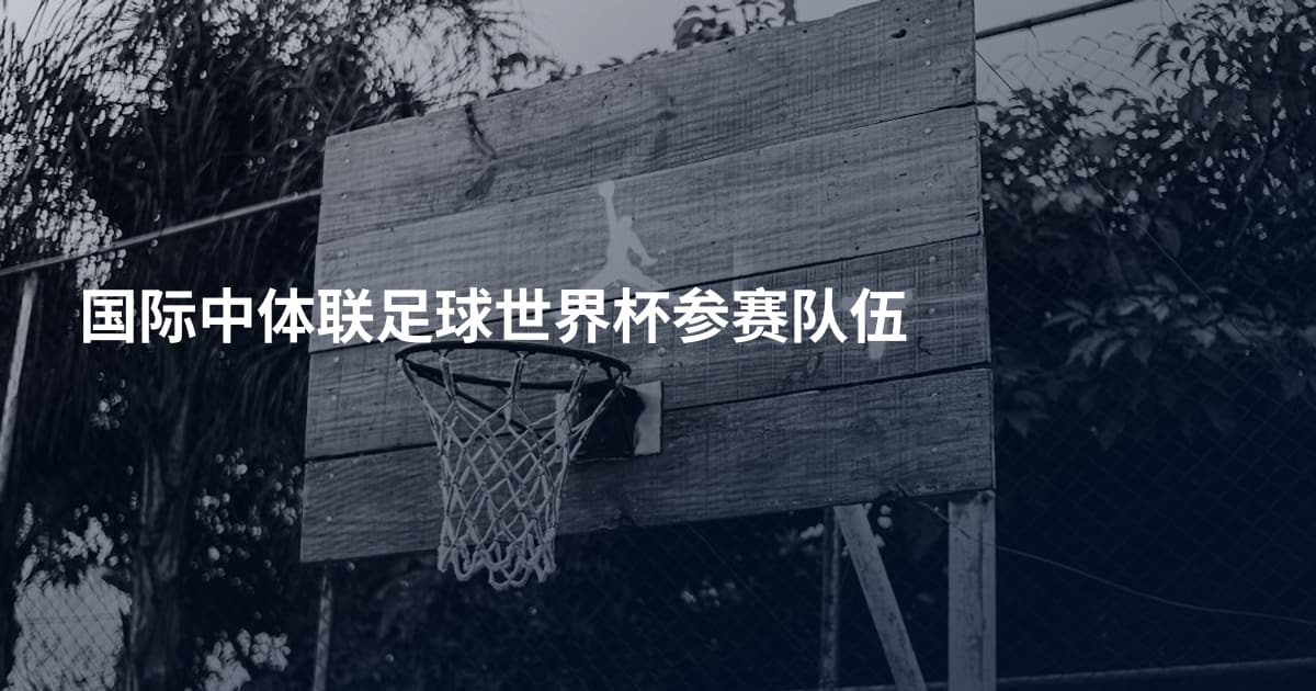 国际中体联足球世界杯参赛队伍