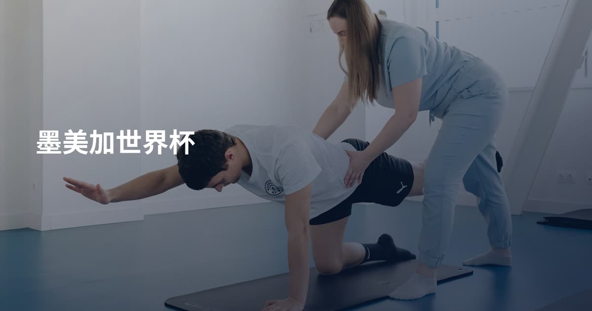 墨美加世界杯