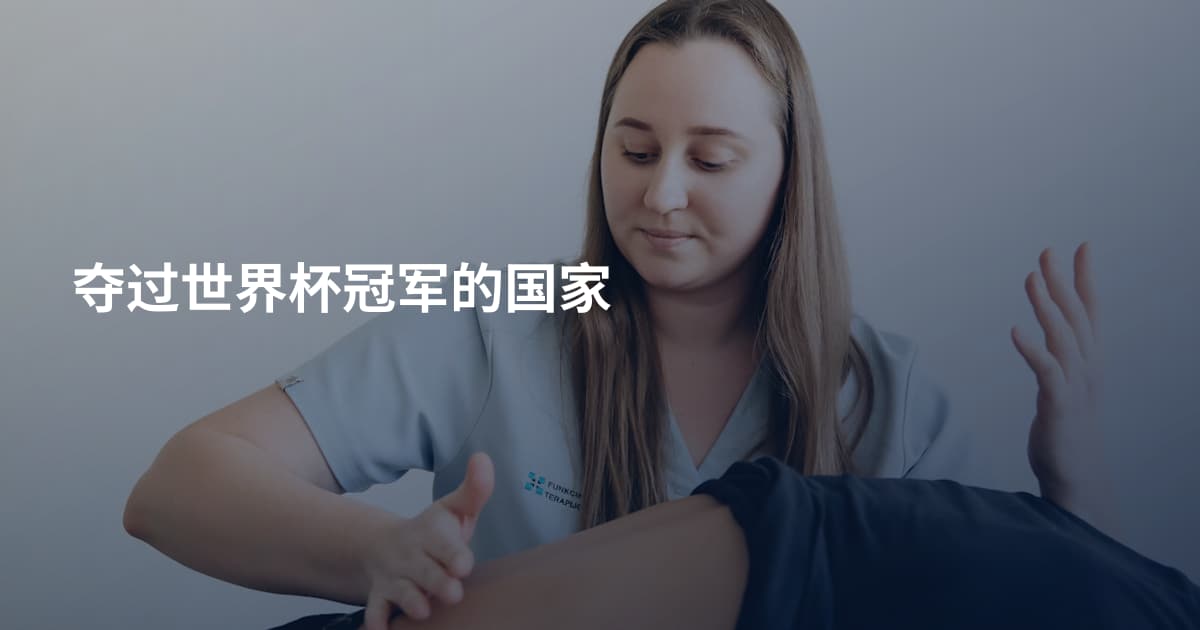 夺过世界杯冠军的国家