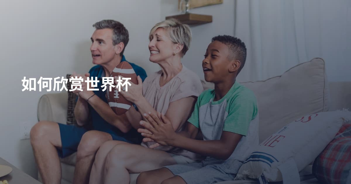如何欣赏世界杯