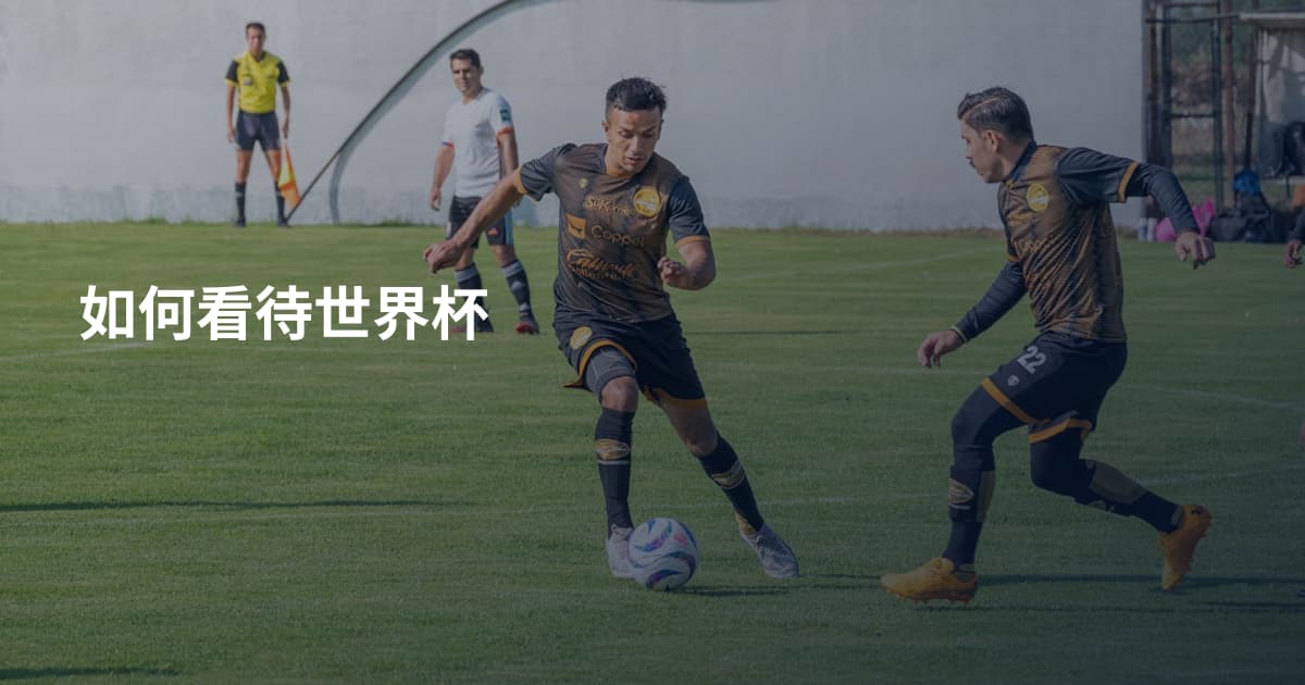 如何看待世界杯