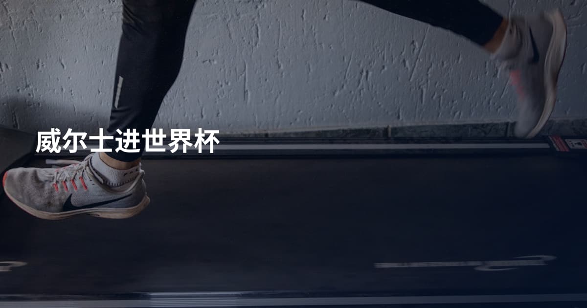 威尔士进世界杯