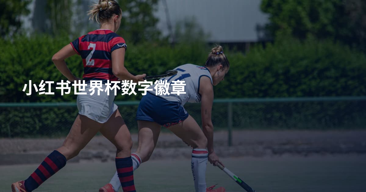 小红书世界杯数字徽章
