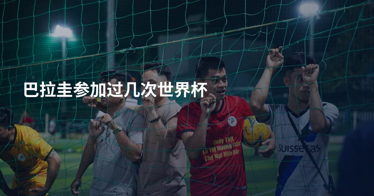 巴拉圭参加过几次世界杯