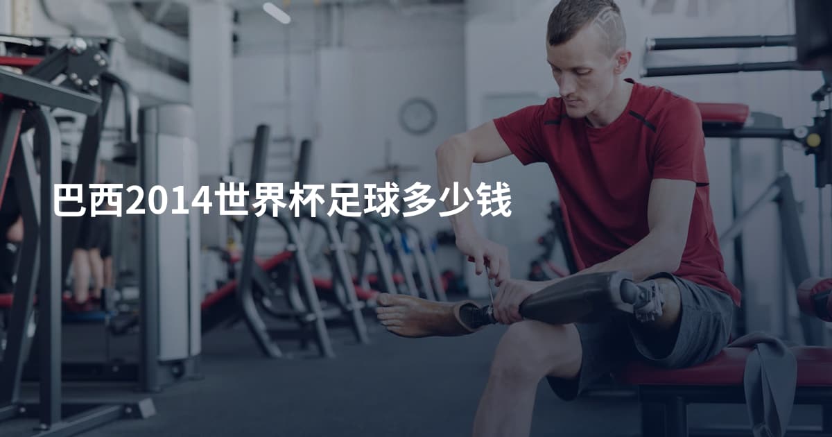 巴西2014世界杯足球多少钱