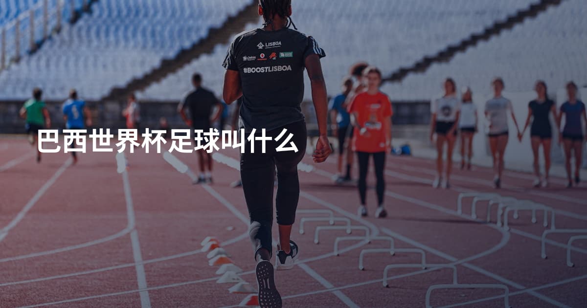 巴西世界杯足球叫什么