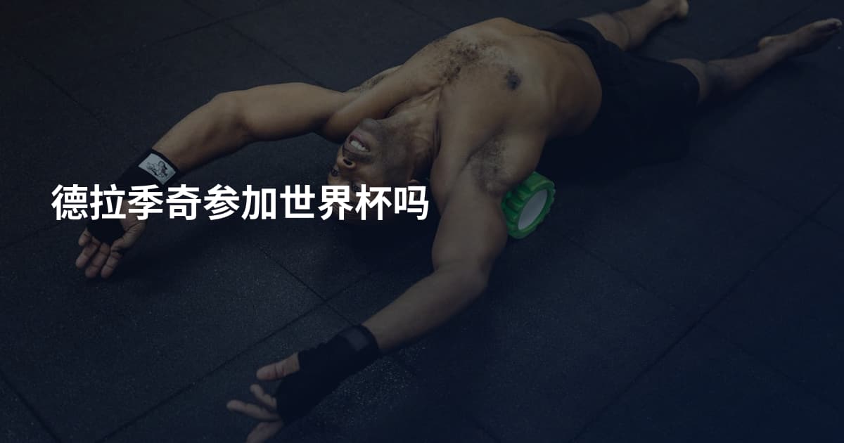德拉季奇参加世界杯吗