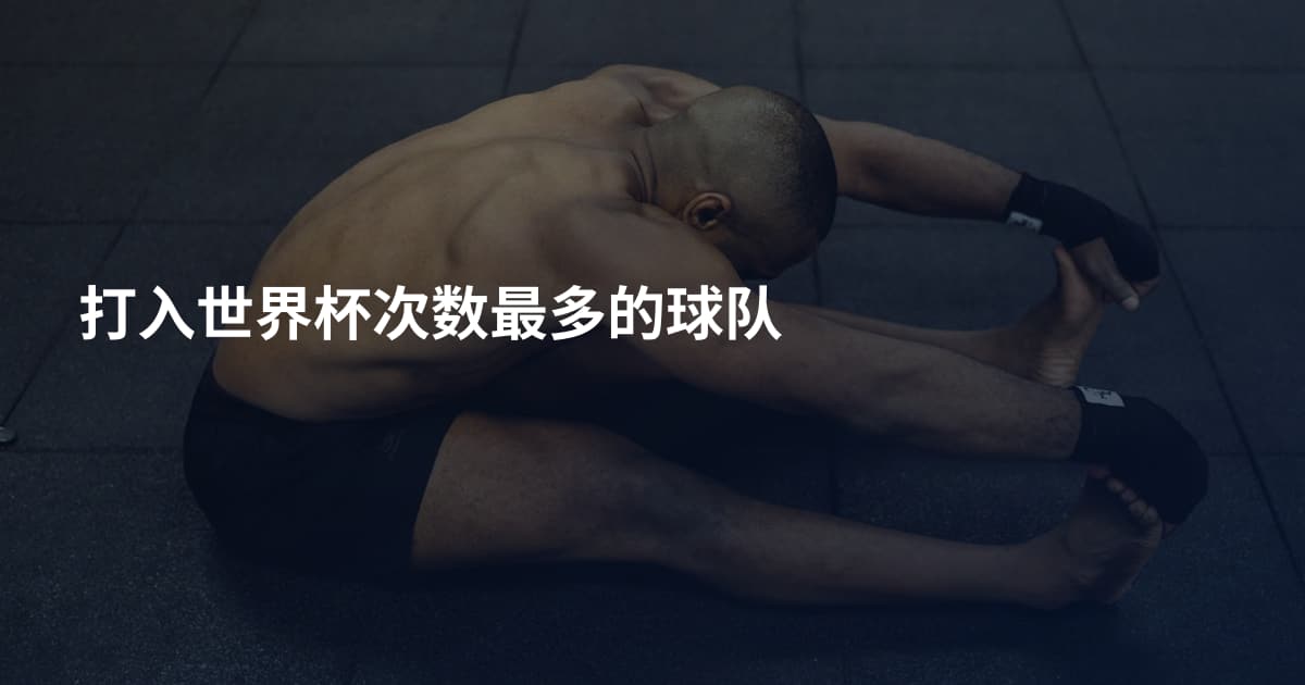 打入世界杯次数最多的球队