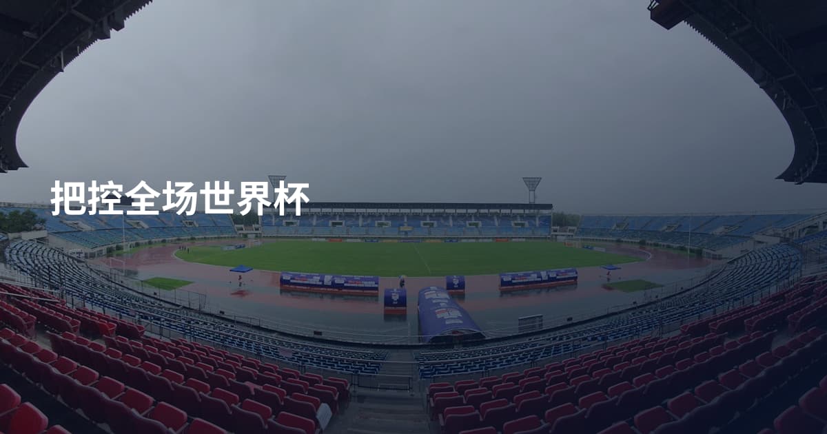 把控全场世界杯