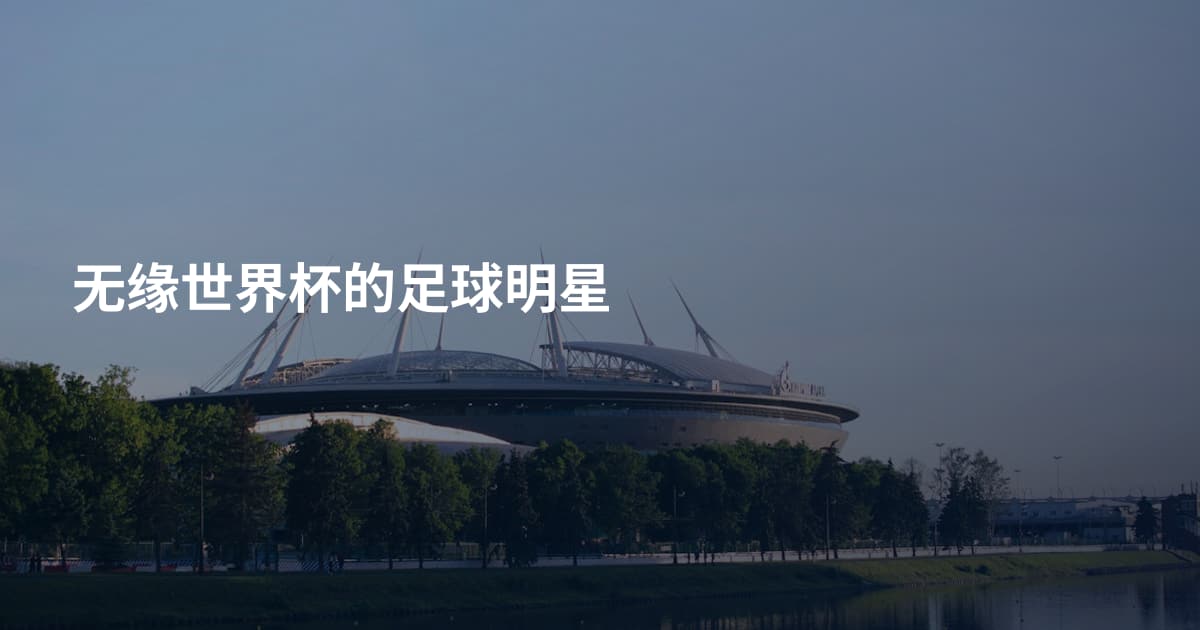 无缘世界杯的足球明星
