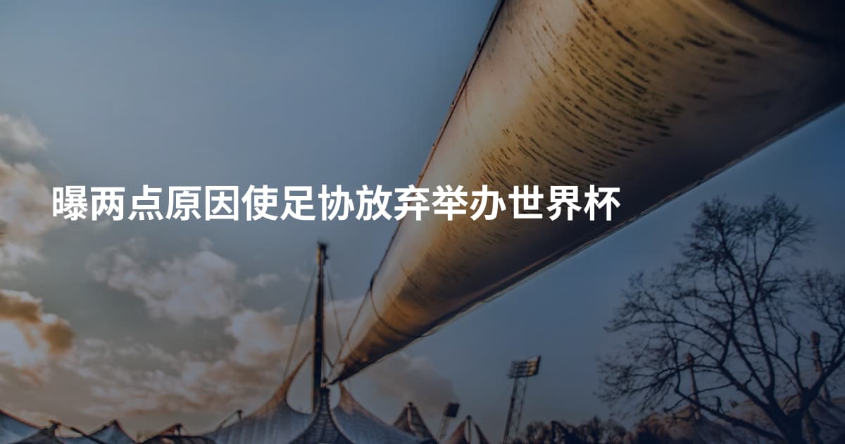 曝两点原因使足协放弃举办世界杯