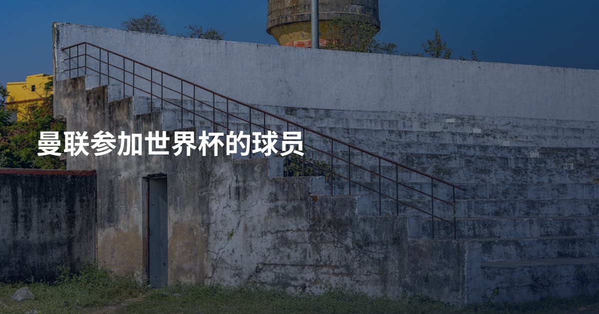 曼联参加世界杯的球员