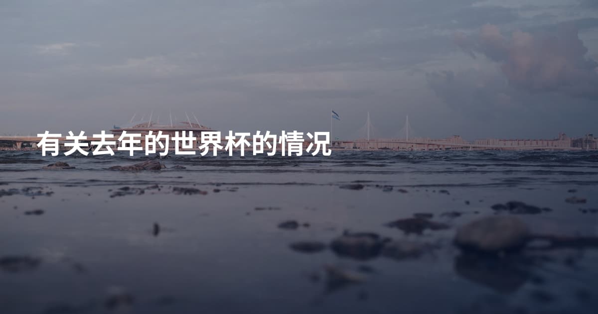 有关去年的世界杯的情况