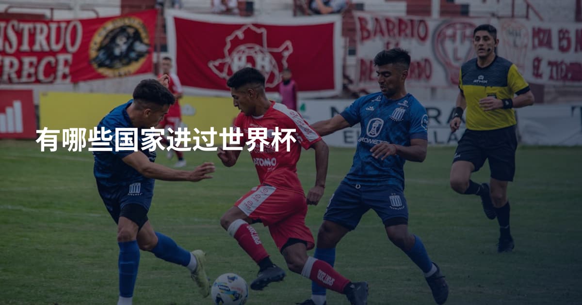有哪些国家进过世界杯