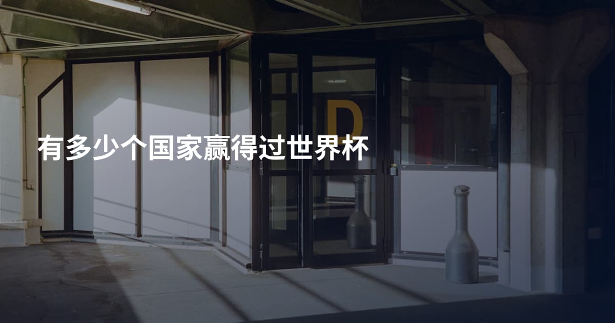 有多少个国家赢得过世界杯
