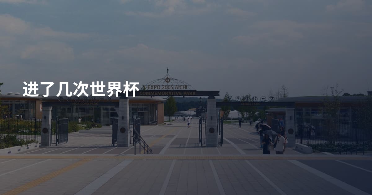 进了几次世界杯