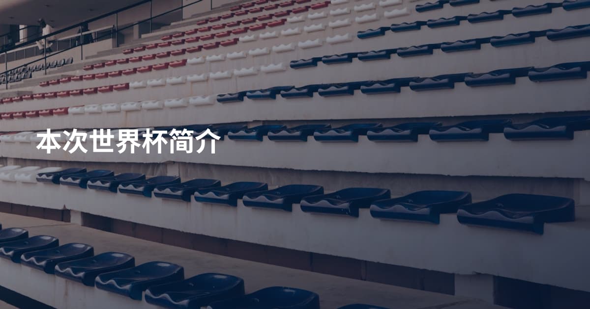 本次世界杯简介