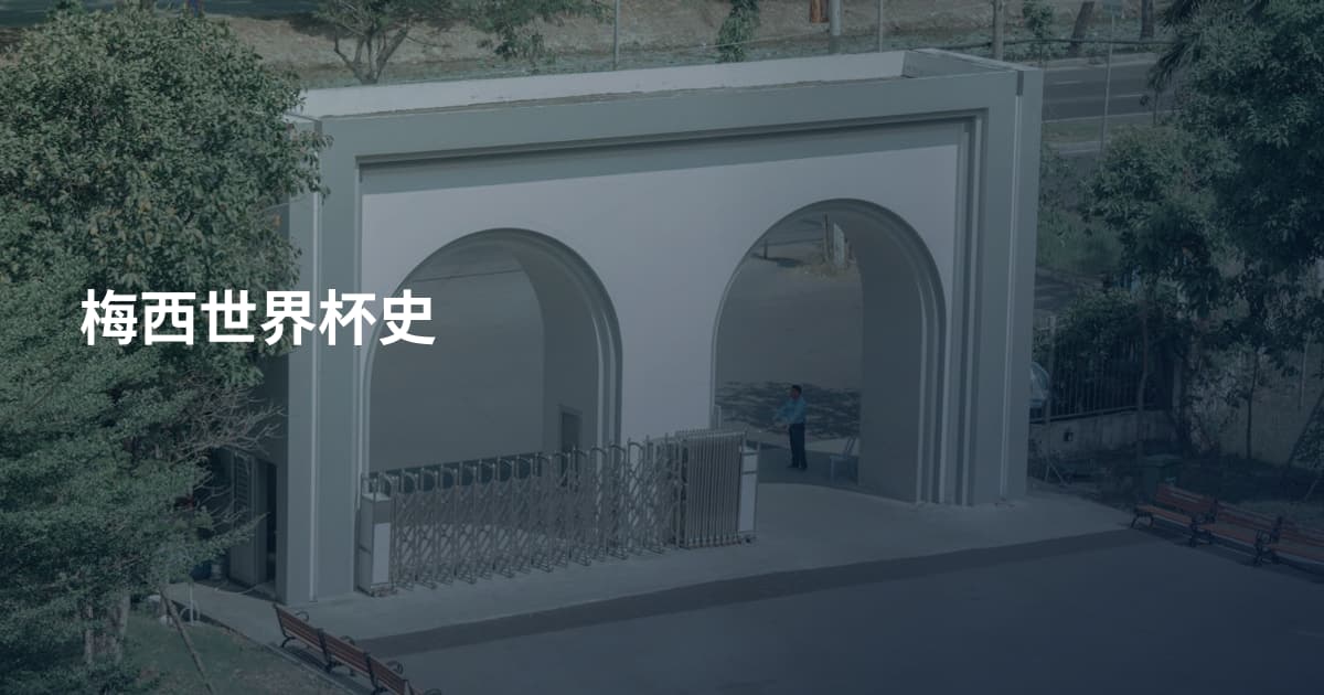梅西世界杯史