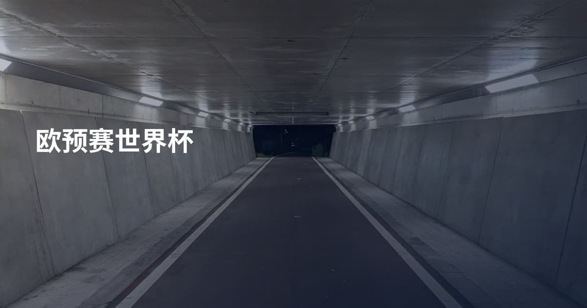 欧预赛世界杯