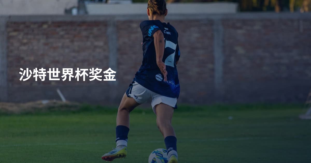 沙特世界杯奖金